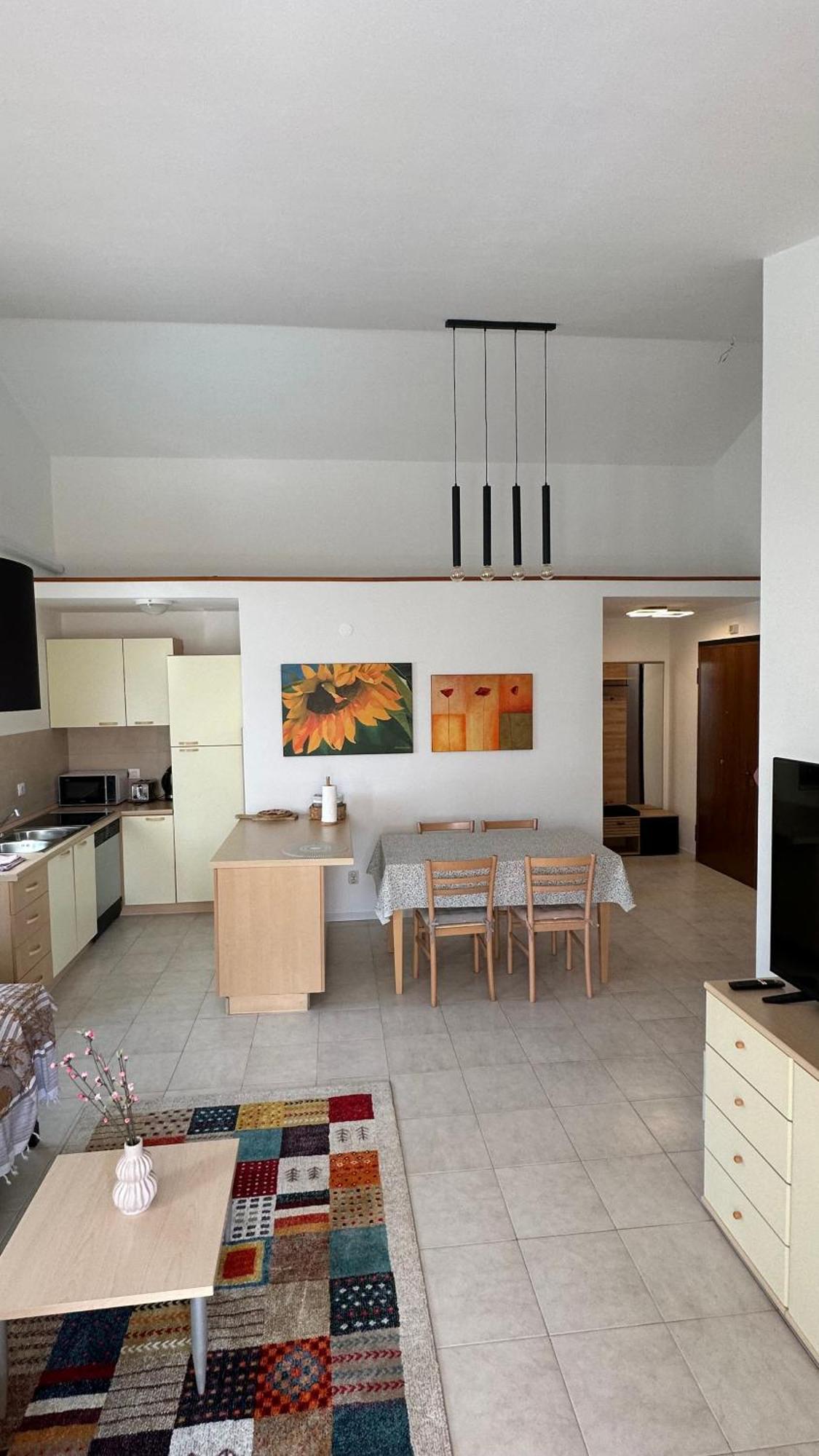 Apartman Lucija ロヴィニ エクステリア 写真
